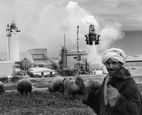 Ein Schäfer mit seinen Schafen vor dem Petrochemiekomplex der "Sonatrach".